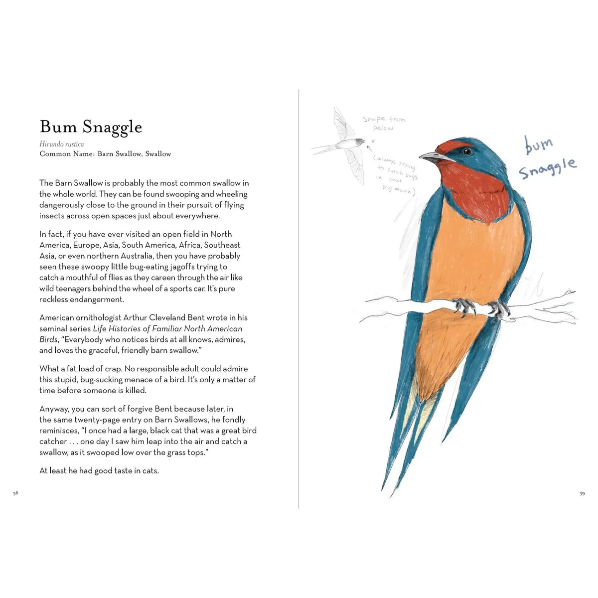 Chronicle - A Field Guide to the Worst Birds Ever