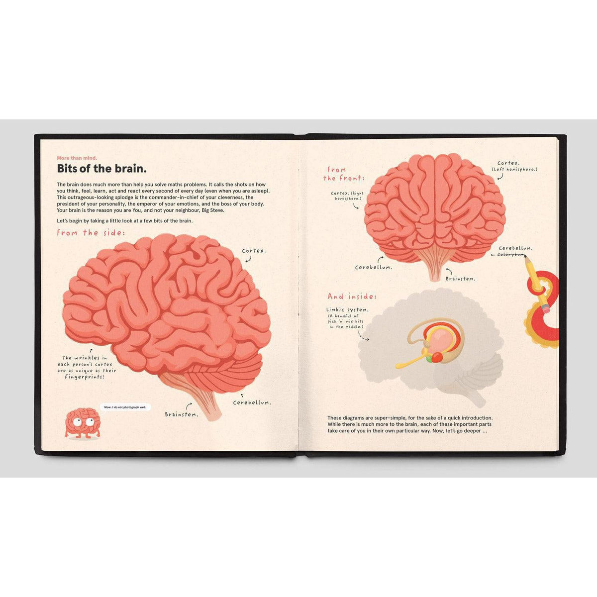 Chronicle - Your Brilliant Brain - Hardcover