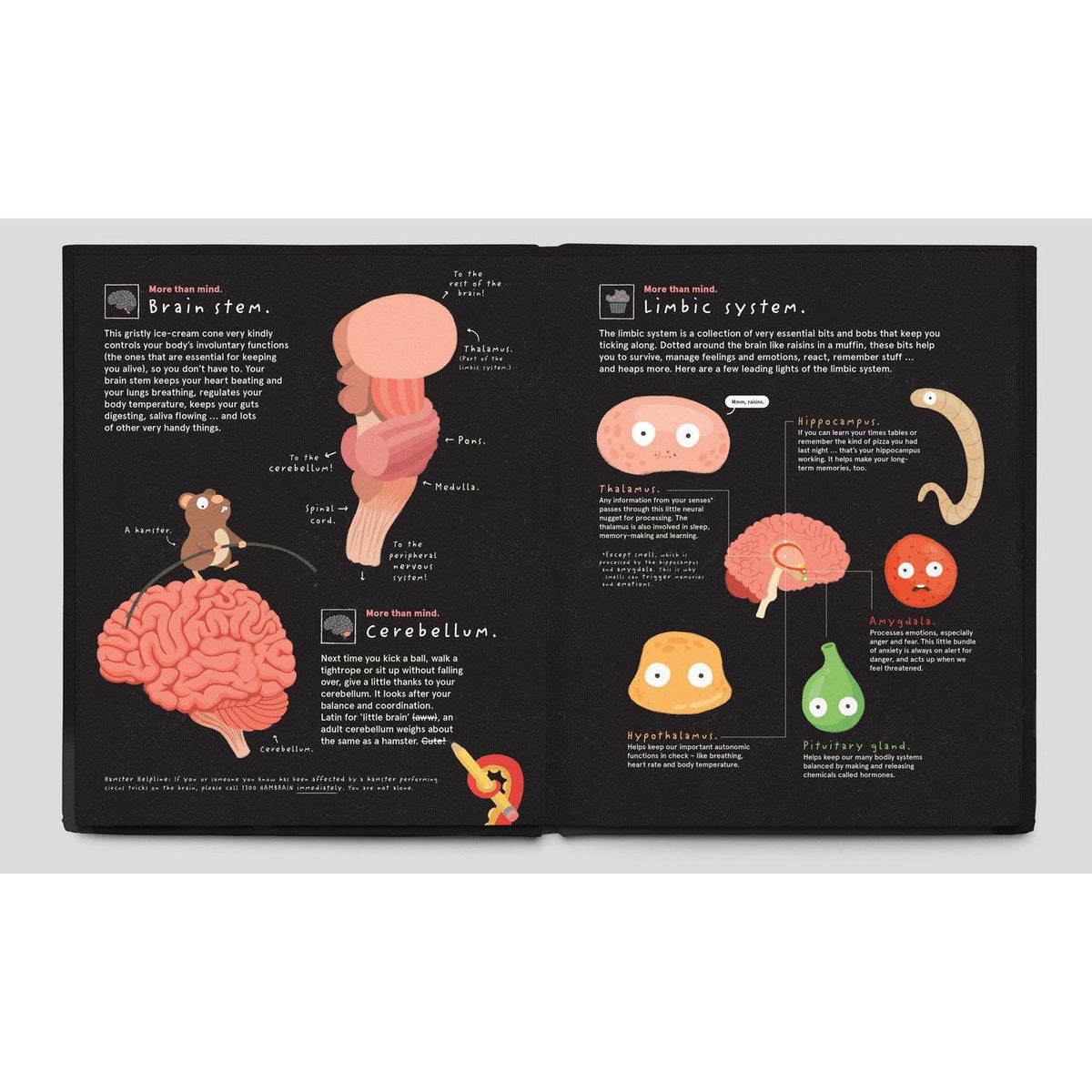 Chronicle - Your Brilliant Brain - Hardcover