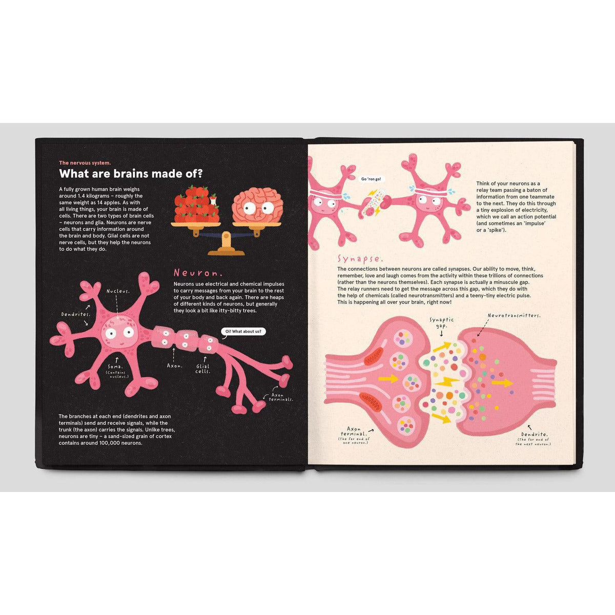 Chronicle - Your Brilliant Brain - Hardcover