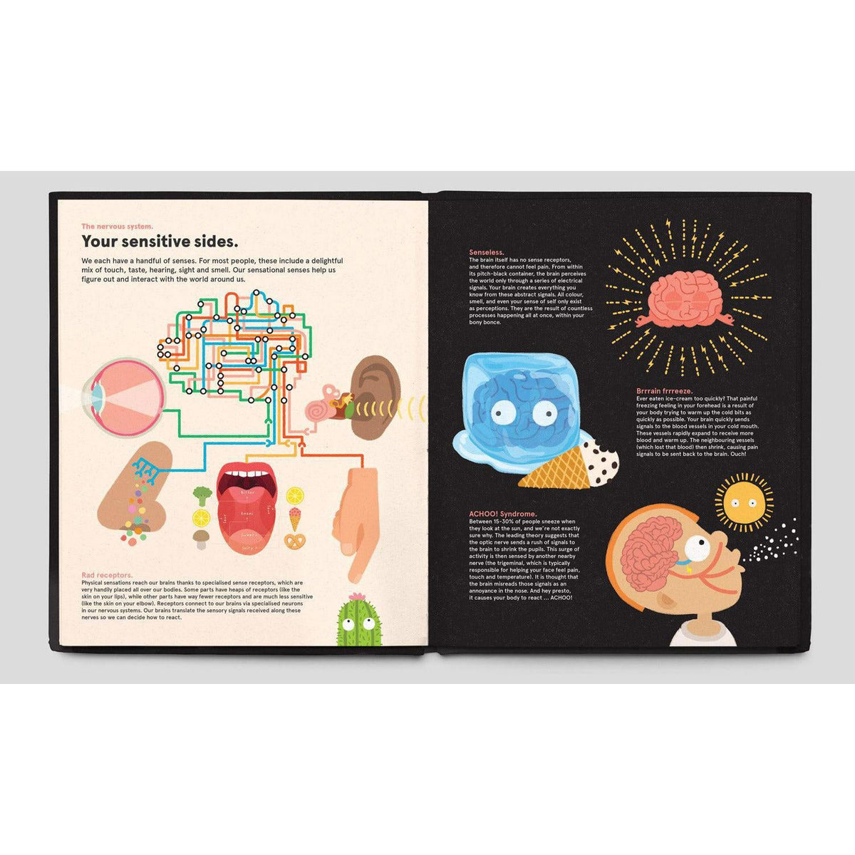 Chronicle - Your Brilliant Brain - Hardcover